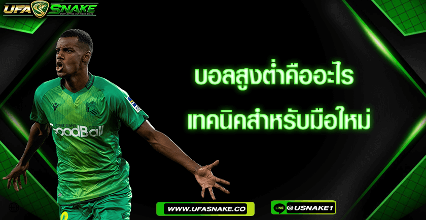 เทคนิคสำหรับมือใหม่