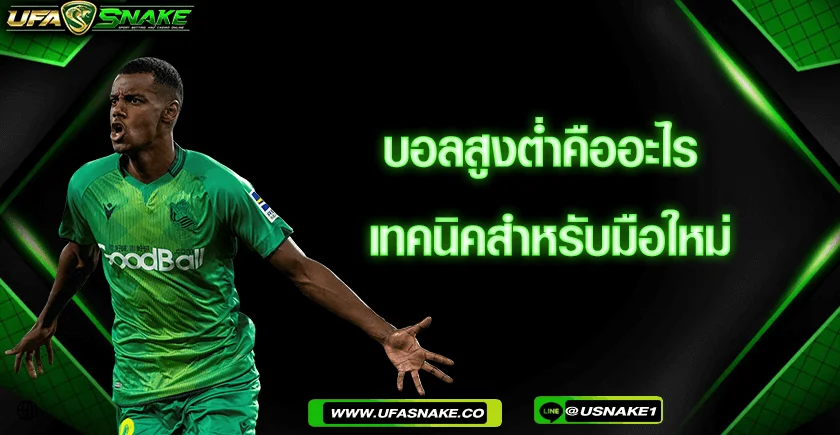 เทคนิคสำหรับมือใหม่